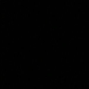 Meet your Posher, Abigail